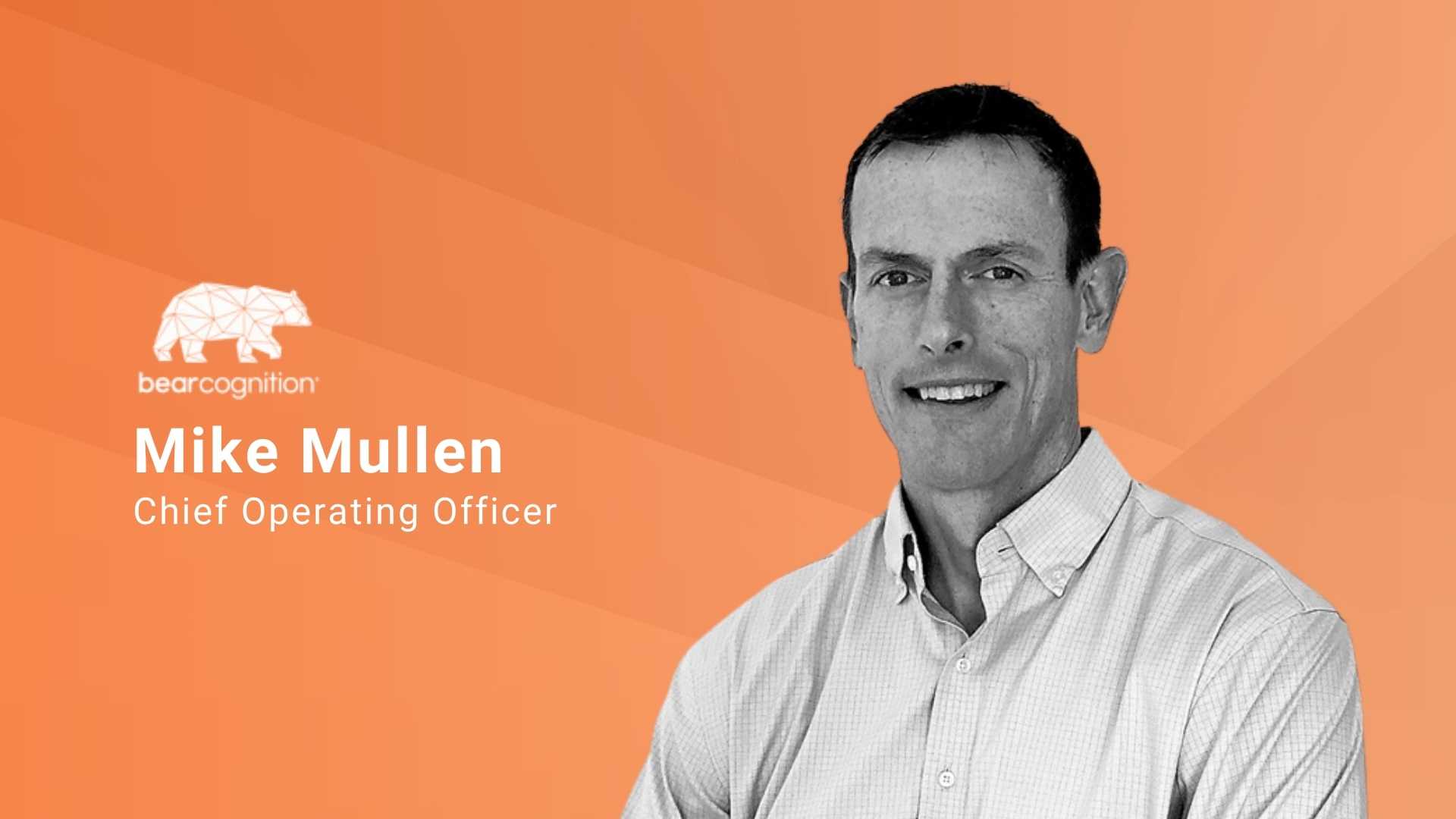 The Modern Marketing Mess: How Bear Congition’s SwaS® Model Optimizes Business Intelligence