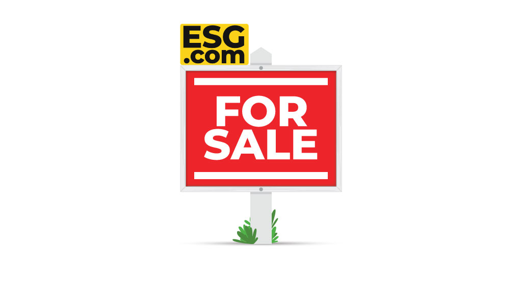 Q4 Brings Big Opportunities to ESG and Financial Services