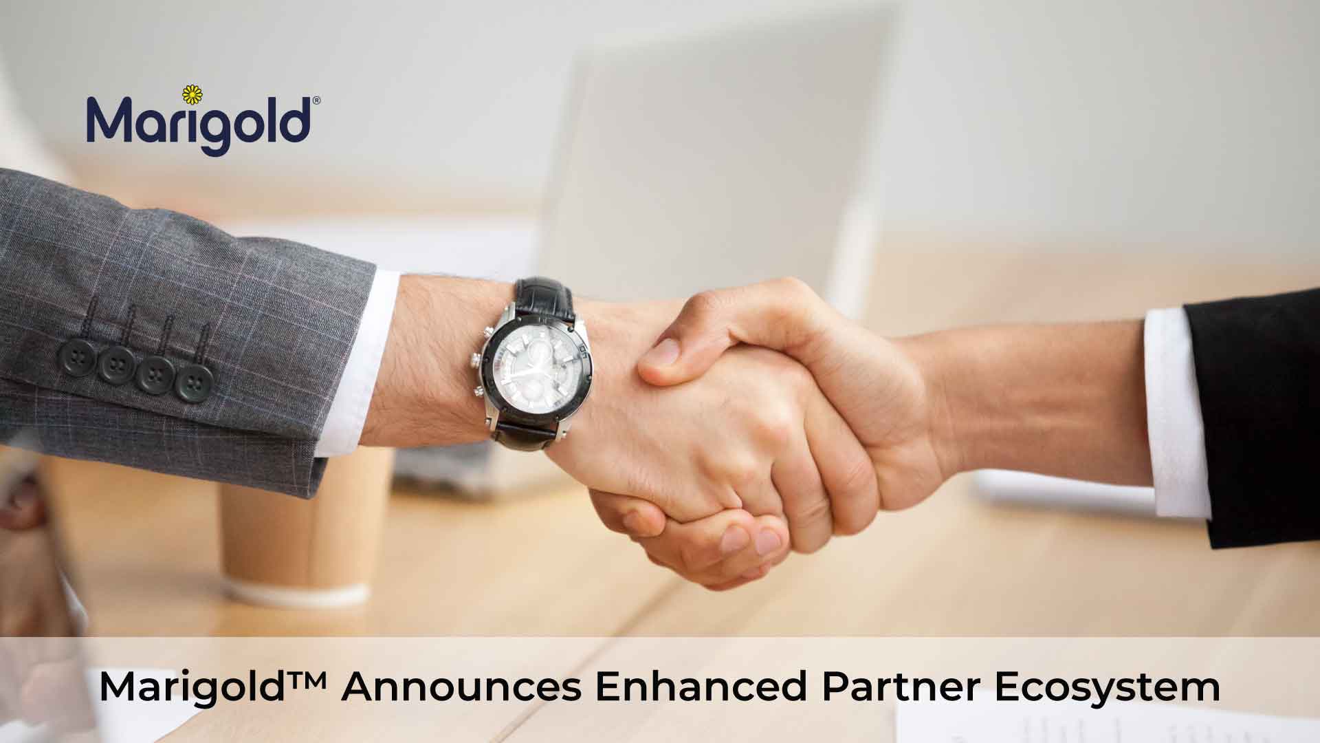 Marigold™ Announces Enhanced Partner Ecosystem