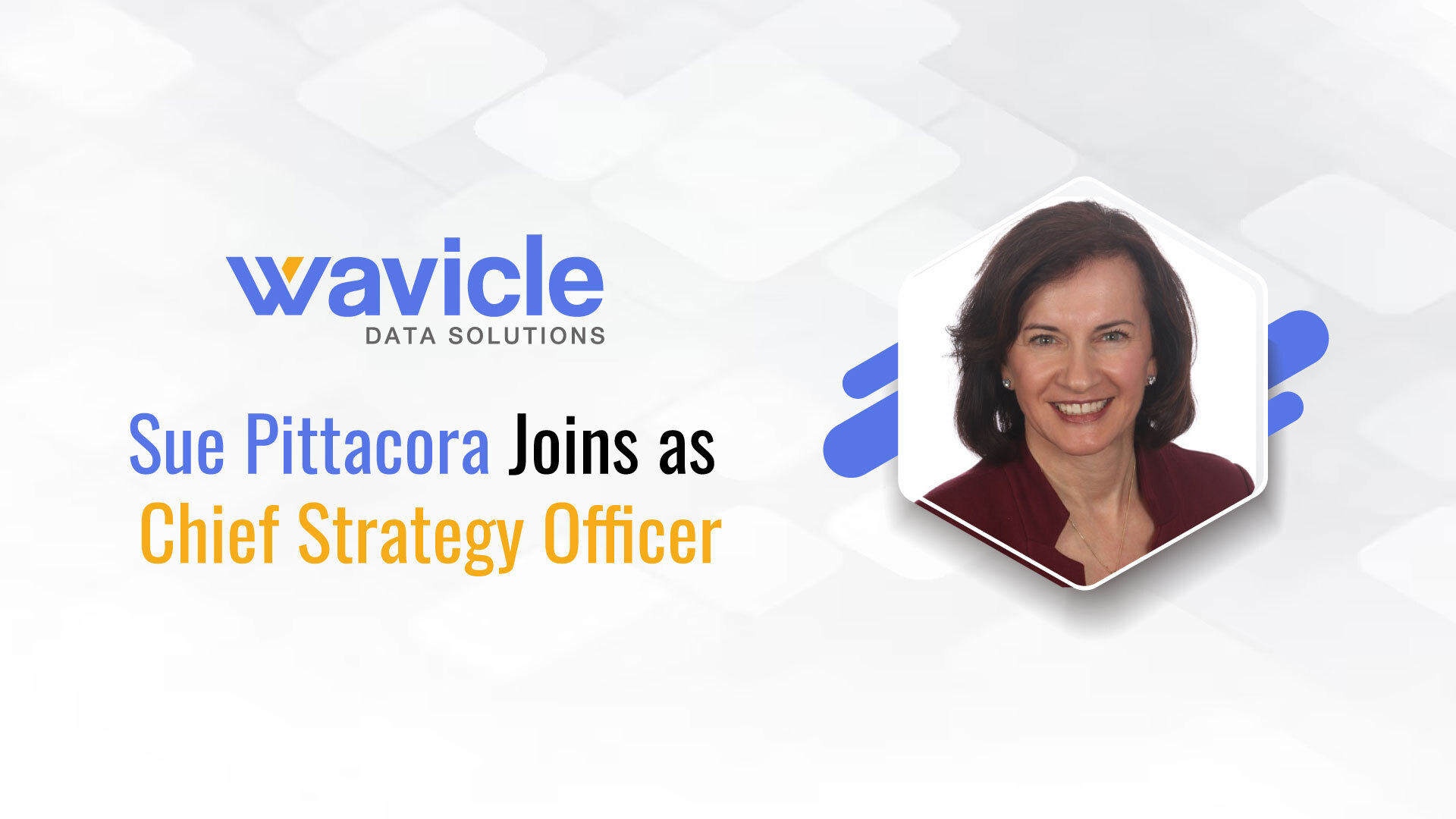 Sue Pittacora Joins Wavicle Data Solutions as Chief Strategy Officer