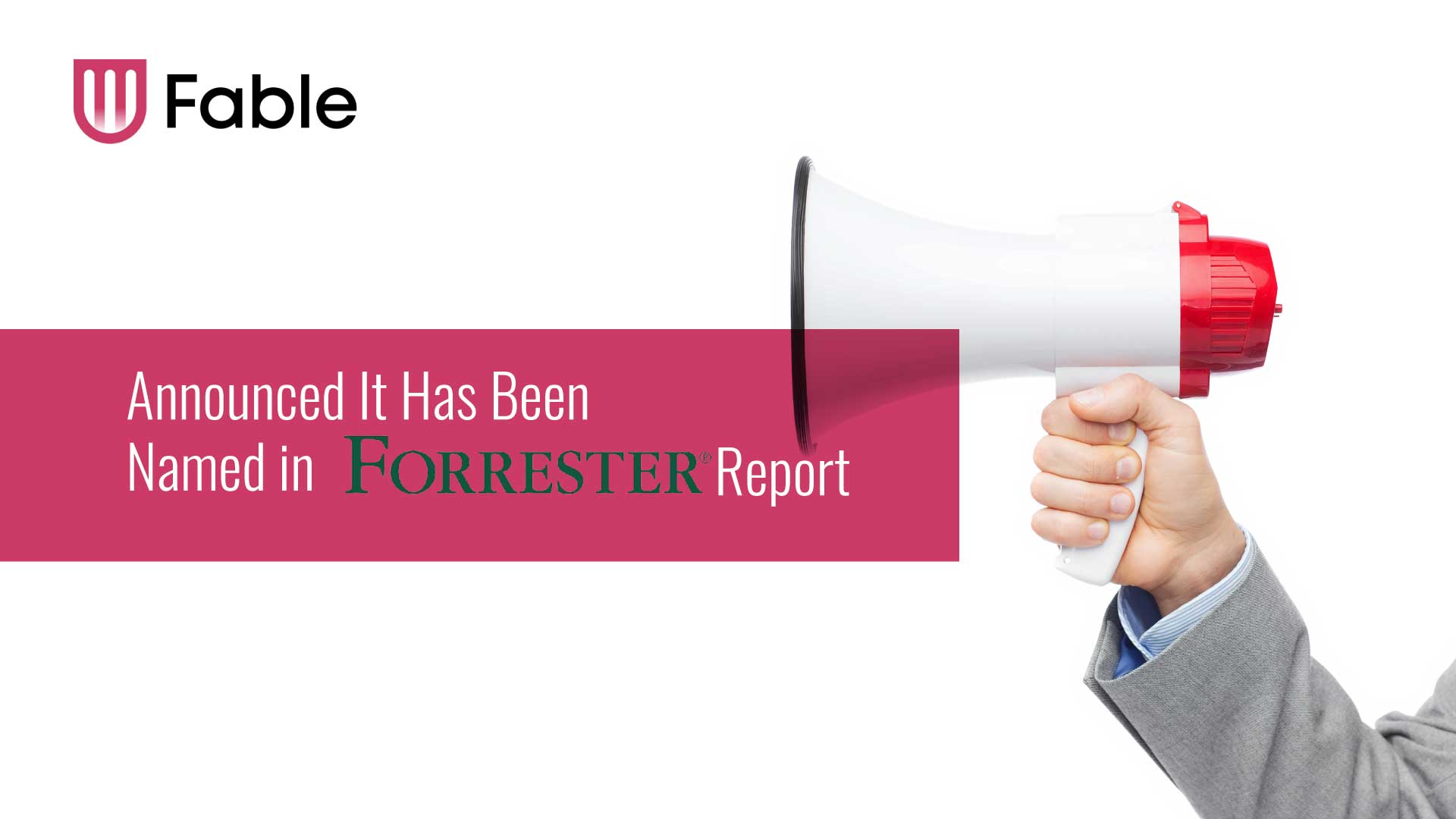 Fable included in digital accessibility platforms landscape report