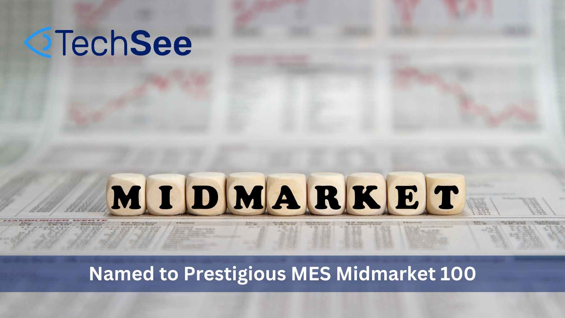 TechSee Named to Prestigious MES Midmarket 100