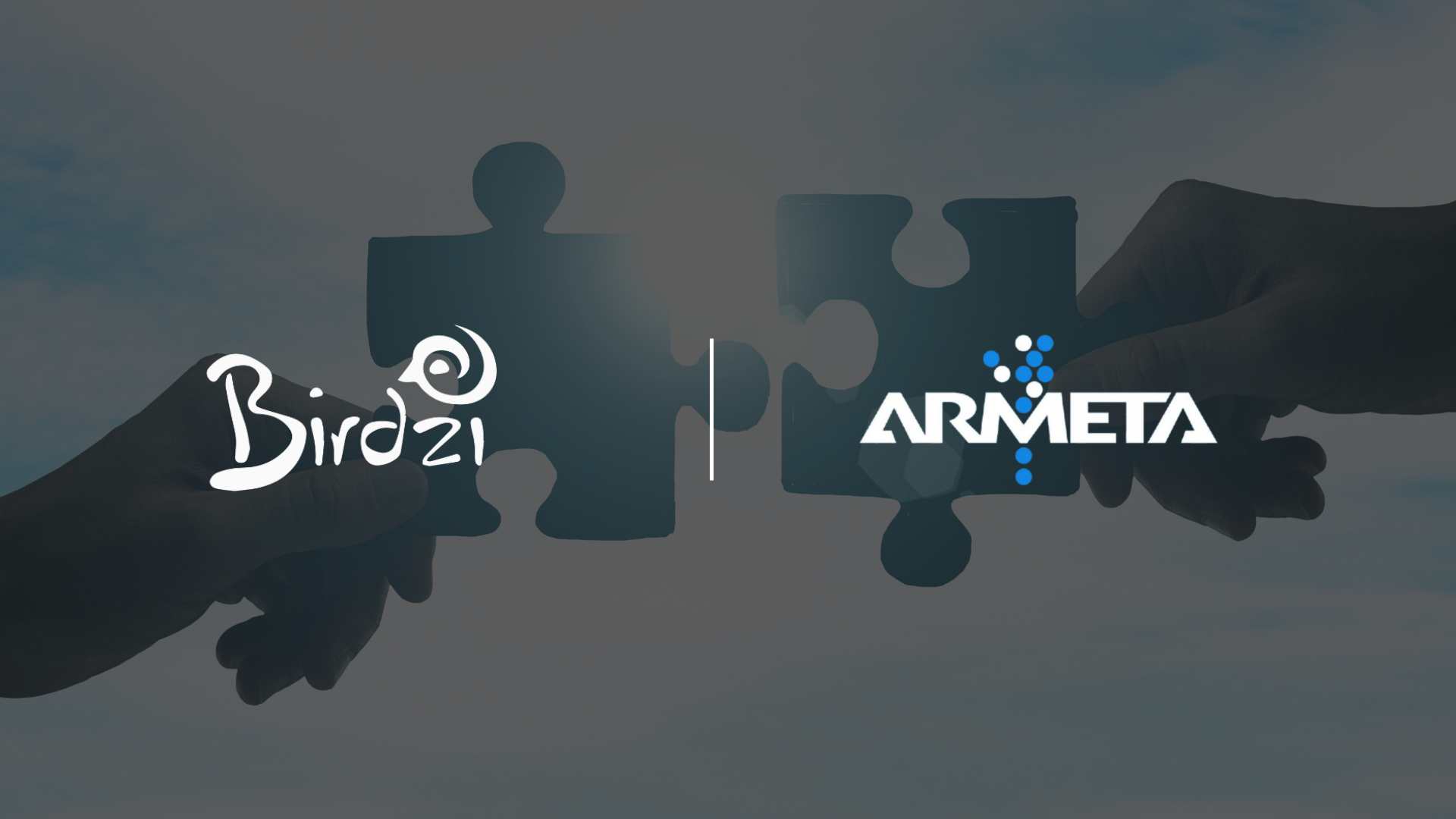 Birdzi Partners with Armeta Analytics for Streamlined Retail Integration