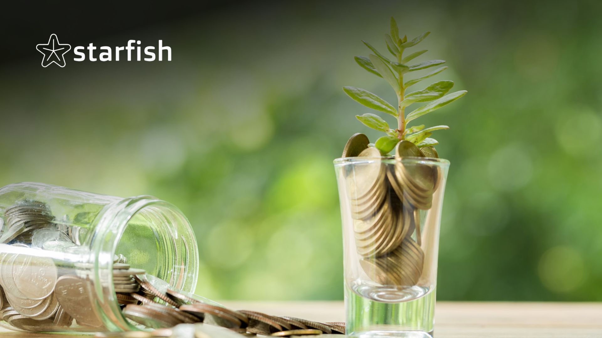 Starfish Secures Funding to Transform Influencer Marketing Platform