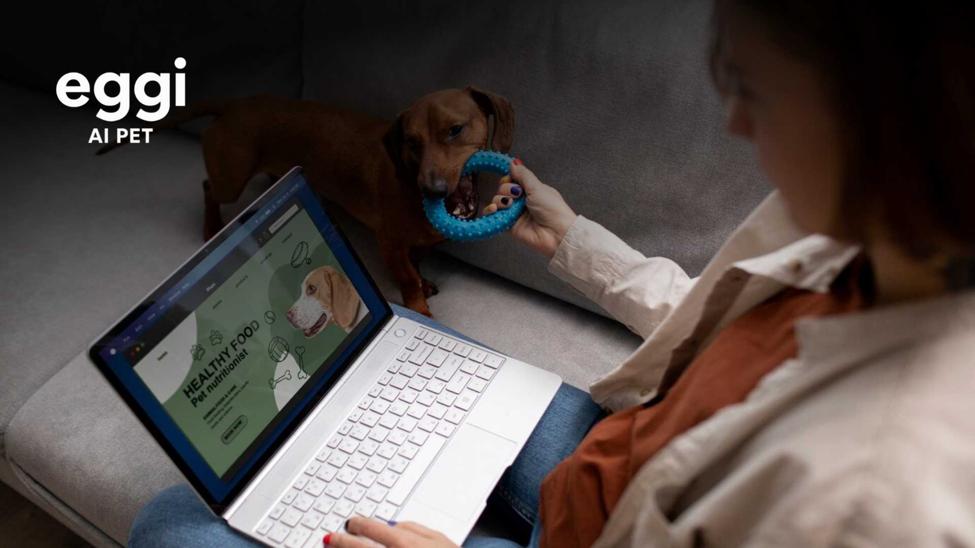 Eggi: The AI Digital Pet Redefining Companionship in the Modern Age