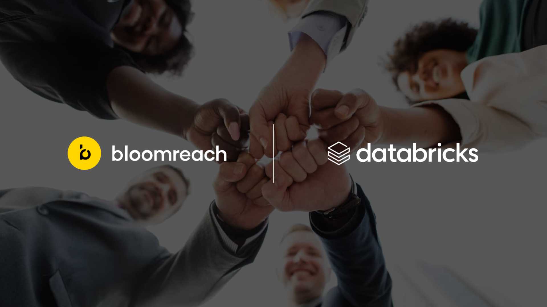 Bloomreach and Databricks Unite to Eliminate Data Silos and Power Real-Time Personalization